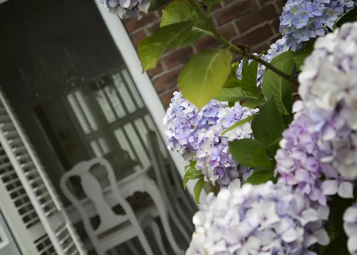 Prázdninový dům Maison 5